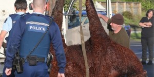 WHO DO THE COPS CALL